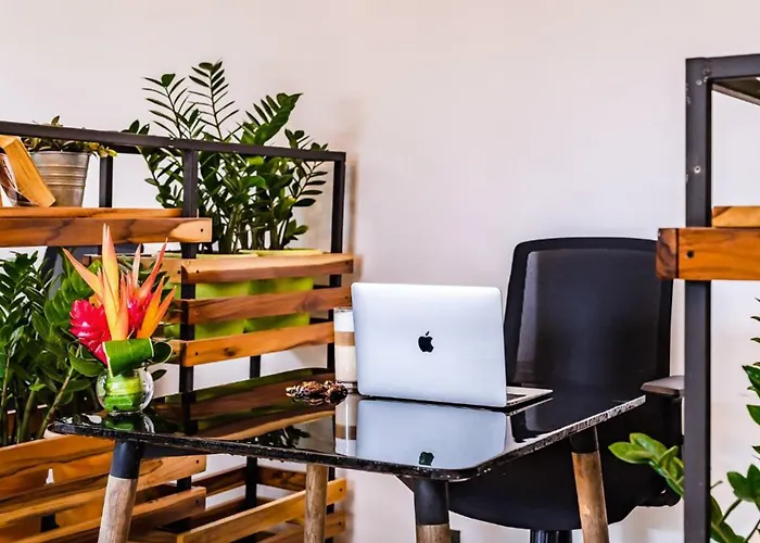 In The Shade - Coworking - 300mbit - Adults Only 4* Tamarindo