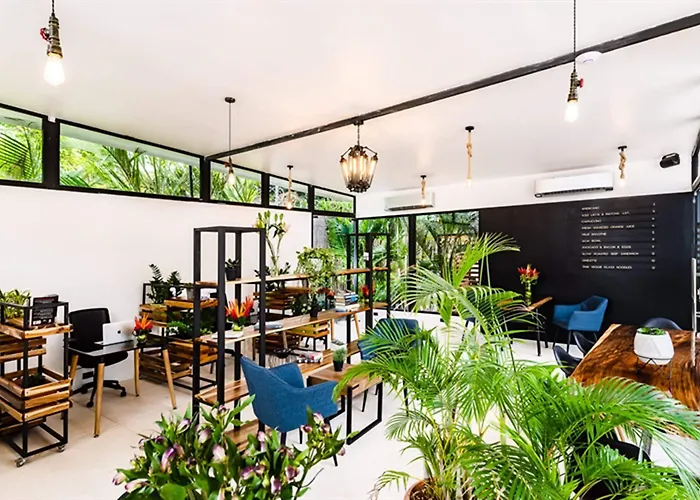 Hotel In The Shade - Coworking - 300mbit - Adults Only Tamarindo