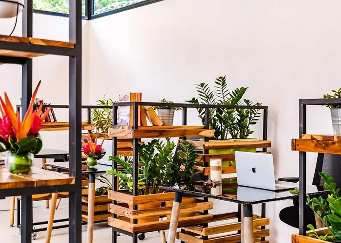 In The Shade - Coworking - 300mbit - Adults Only Hotel Tamarindo