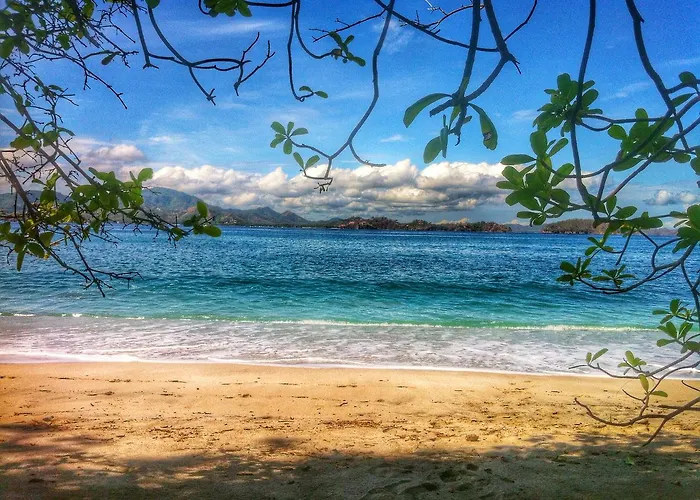 In The Shade - Coworking - 300mbit - Adults Only Tamarindo